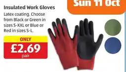 Aldi Insulated Work Gloves offer