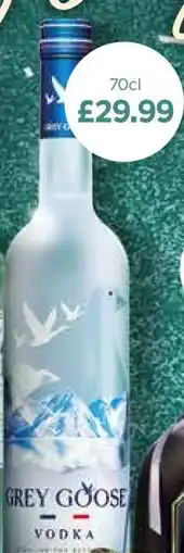 Bestway Grey Goose Vodka offer