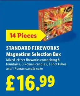 Lidl STANDARD FIREWORKS Magnetism Selection Box offer