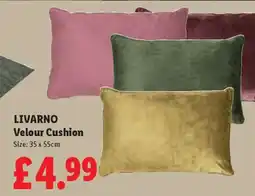 Lidl LIVARNO Velour Cushion offer