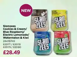 Bestway Slamzees Cookies & Cream/Blue Raspberry/Electric Lemonade/Watermelon & Kiwi offer