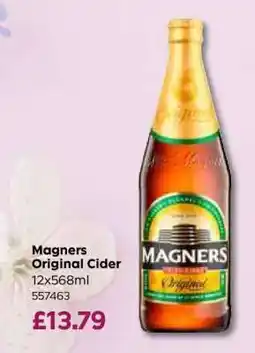 Bestway Magners Original Cider offer