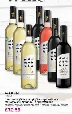 Bestway Jack Rabbit offer