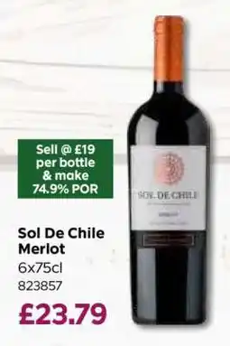 Bestway Sol De Chile Merlot offer