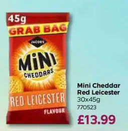 Bestway Mini Cheddar Red Leicester offer