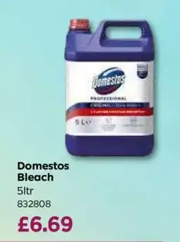 Bestway Domestos Bleach offer