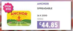 Bestway ANCHOR offer