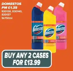 Bestway Domestos offer