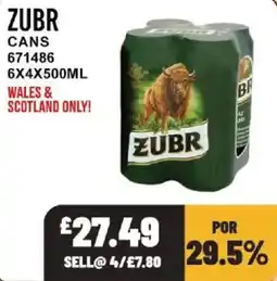 Bestway Zubr cans offer