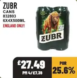 Bestway Zubr cans offer