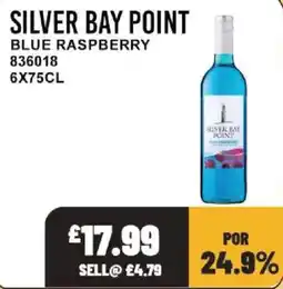 Bestway Silver bay point blue raspberry offer