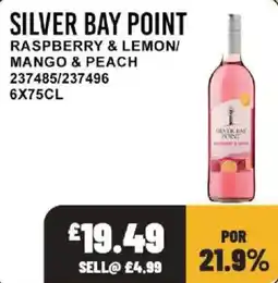 Bestway Silver bay point offer