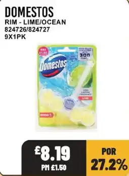 Bestway Domestos rim lime/ocean offer