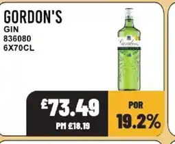 Bestway Gordon's gin offer