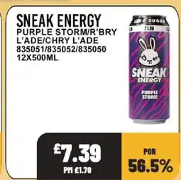 Bestway Sneak energy offer