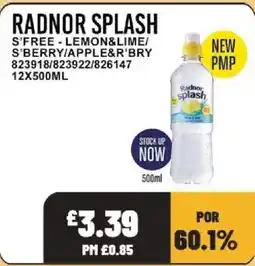 Bestway Radnor splash offer