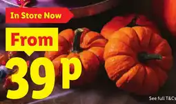 Lidl Pumpkin offer