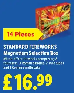 Lidl Standard Fireworks Magnetism Selection Box offer