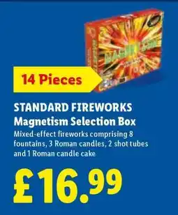 Lidl STANDARD FIREWORKS Magnetism Selection Box offer