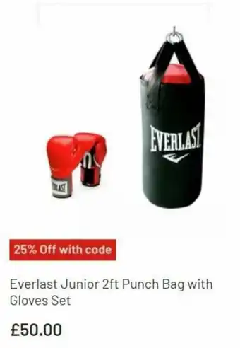 Argos Everlast Junior 2ft Punch Bag with Gloves Set offer