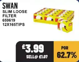 Bestway Swan slim loose filter offer