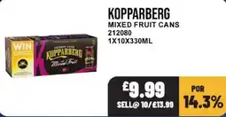 Bestway Kopparberg mixed fruit cans offer