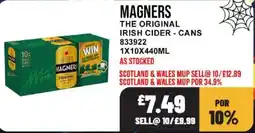 Bestway Magners the original irish cider - cans offer