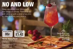 Booker Wholesale Winter Berry Tonic offer