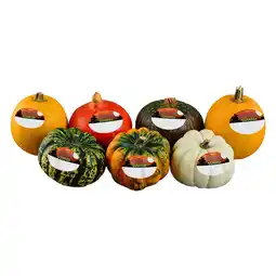 Iceland Iceland Halloween Squash offer