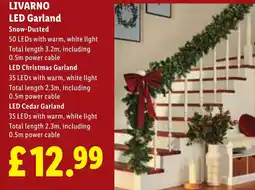 Lidl Livarno led garland offer