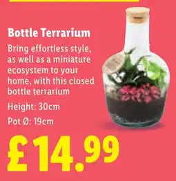Lidl Bottle Terrarium offer