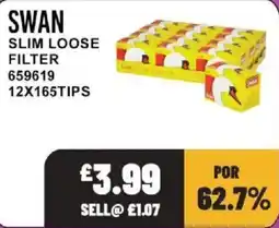 Bestway Swan slim loose filter offer