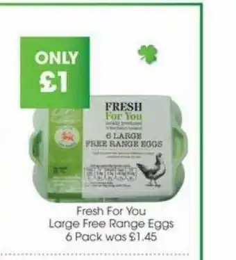 Centra Fresh For You Large Free Range Eggs offer