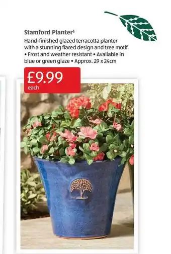 Aldi Stamford Planter offer