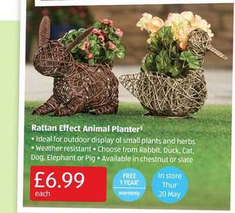 Aldi Rattan Effect Animal Planter offer