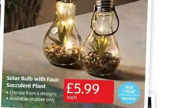 Aldi Solar Bulb With Faux Succelent Plant offer