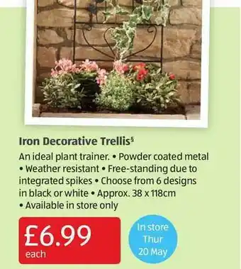 Aldi Iron Decorative Trellis offer