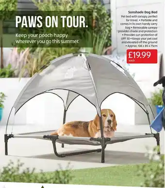 Aldi Sunshine Dog Bed offer