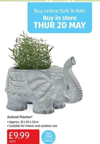Aldi Animal Planter offer