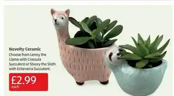 Aldi Novelty Ceramic offer
