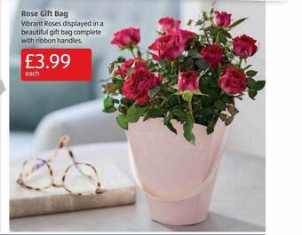 Aldi Rose Gift Bag offer