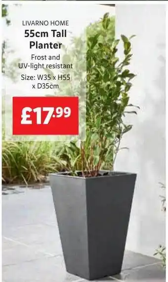 Lidl Livarno Home 55cm Tall Planter offer