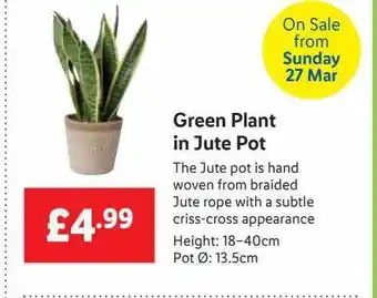 Lidl Green Plant In Jute Pot offer