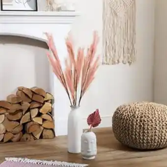 Home Bargains Forever faux coral pampas grass 5 pack offer