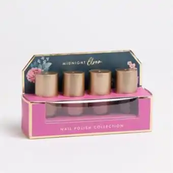 Home Bargains Midnight bloom: nail polish collection offer