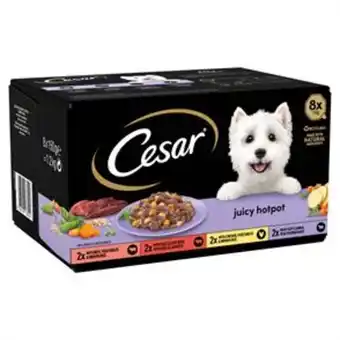 Home Bargains Cesar wet dog food juicy hotpot mixed selection (24 x 150g) offer