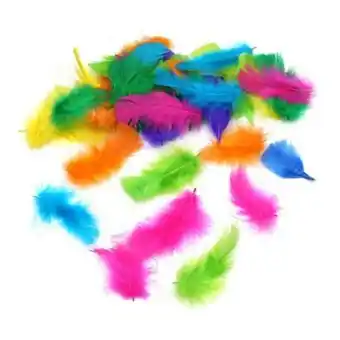 Hobbycraft Bright mix craft feathers 5g offer