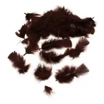 Hobbycraft Brown craft feathers 5g offer