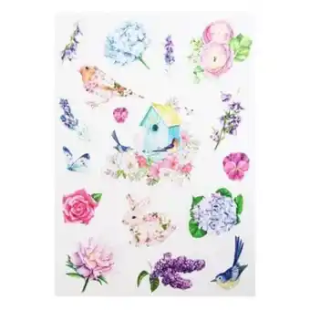 Spring birds ephemera