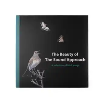 Lush The beauty of the sound approach offer
